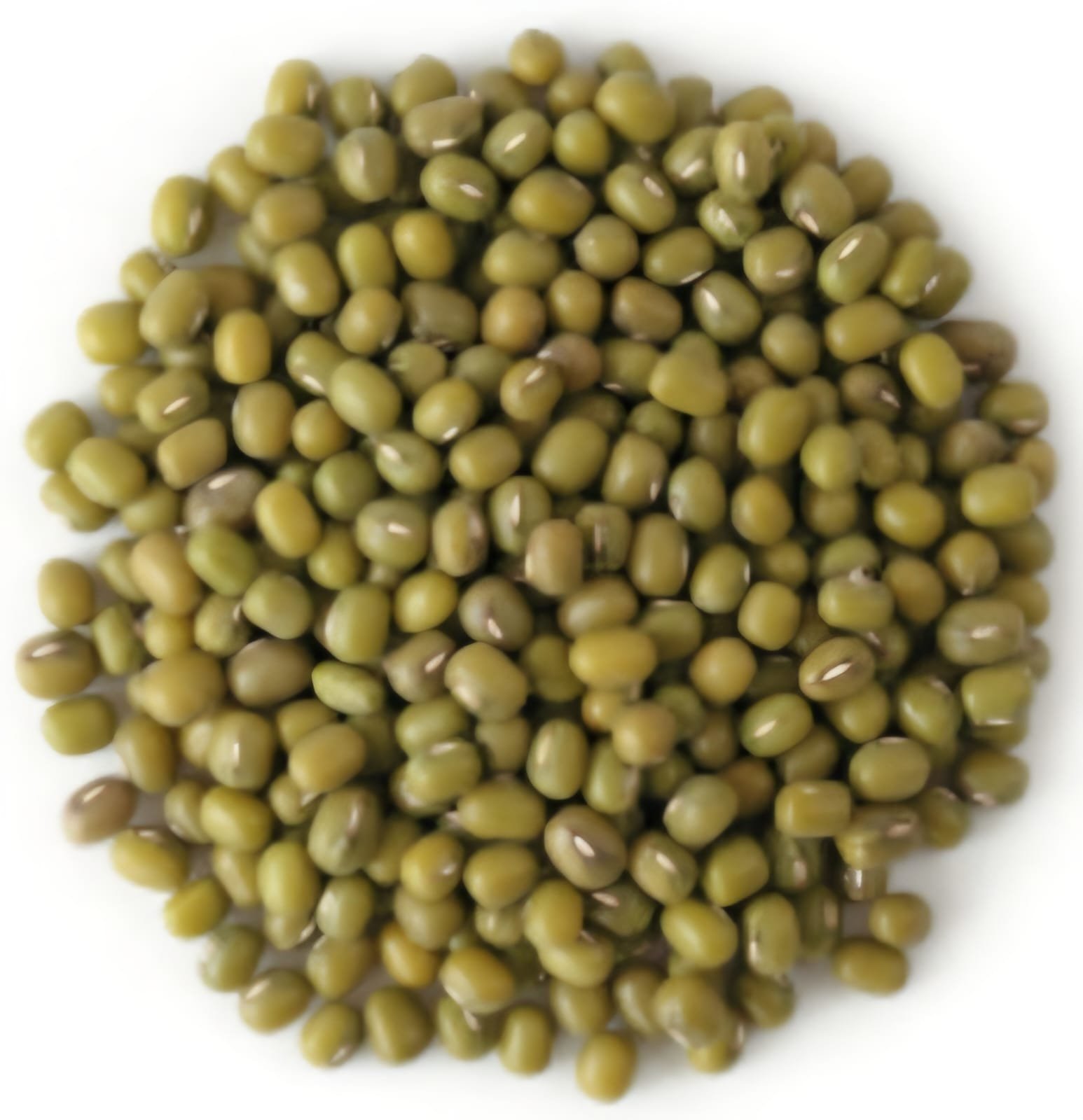 Porotos mung
